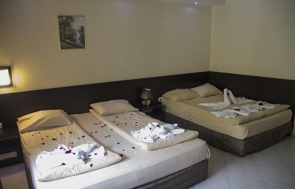 Family Hotel Delta Ognyanovo  Quarto foto