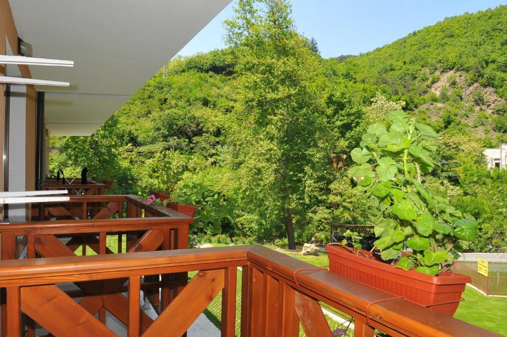 Family Hotel Delta Ognyanovo  Exterior foto